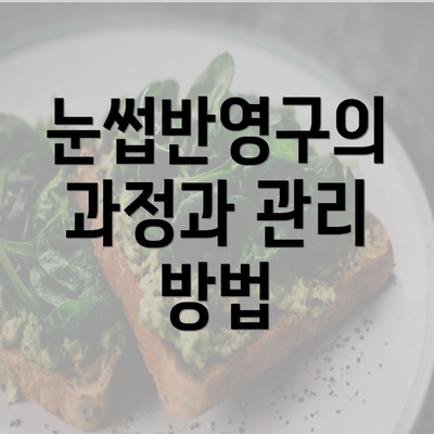 눈썹반영구의 과정과 관리 방법