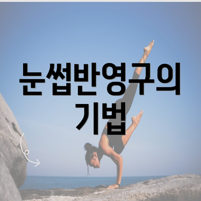 눈썹반영구의 기법