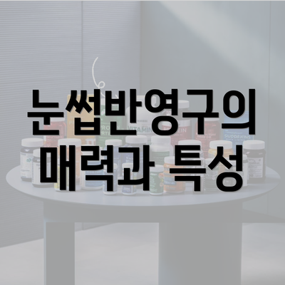 눈썹반영구의 매력과 특성