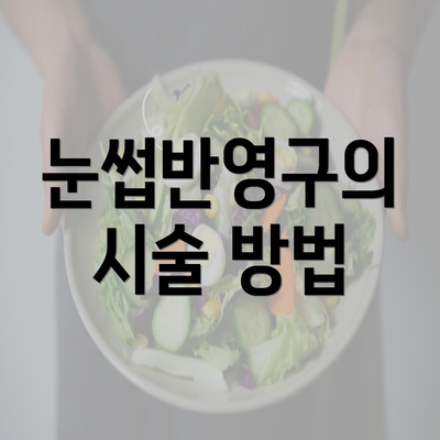 눈썹반영구의 시술 방법