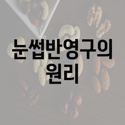 눈썹반영구의 원리