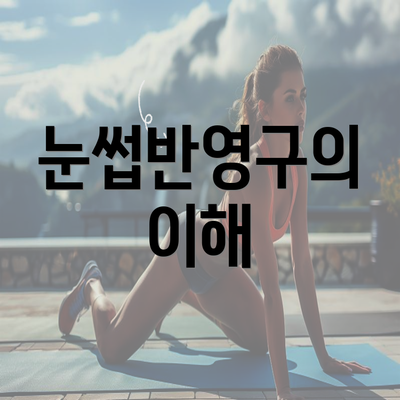 눈썹반영구의 이해