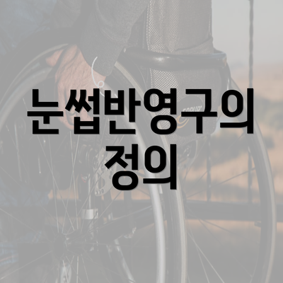 눈썹반영구의 정의