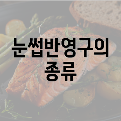 눈썹반영구의 종류