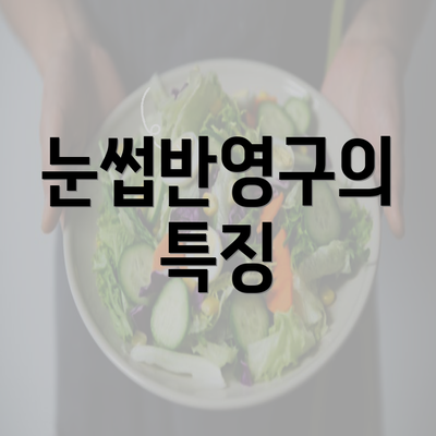 눈썹반영구의 특징