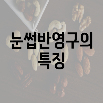 눈썹반영구의 특징