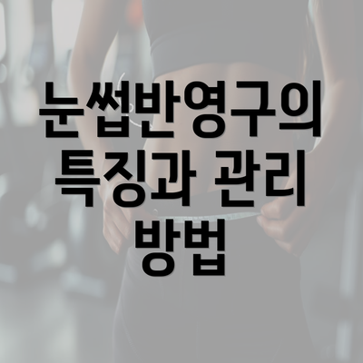 눈썹반영구의 특징과 관리 방법