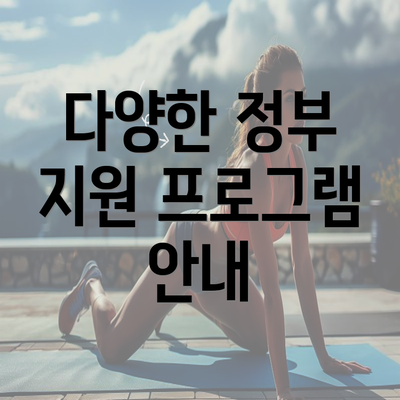 다양한 정부 지원 프로그램 안내