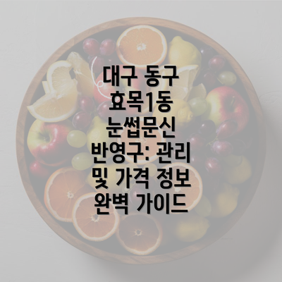 대구 동구 효목1동 눈썹문신 반영구: 관리 및 가격 정보 완벽 가이드