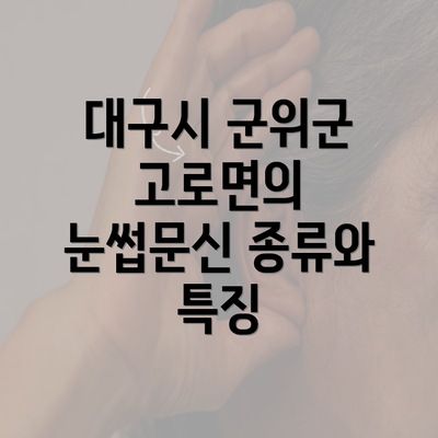 대구시 군위군 고로면의 눈썹문신 종류와 특징