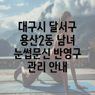 대구시 달서구 용산2동 남녀 눈썹문신 반영구 관리 안내