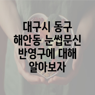 대구시 동구 해안동 눈썹문신 반영구에 대해 알아보자