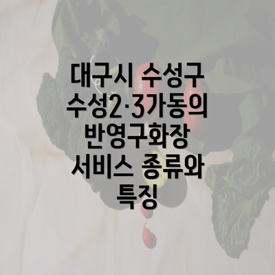 대구시 수성구 수성2·3가동의 반영구화장 서비스 종류와 특징