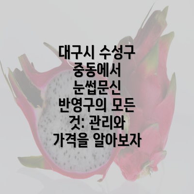 대구시 수성구 중동에서 눈썹문신 반영구의 모든 것: 관리와 가격을 알아보자