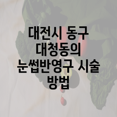 대전시 동구 대청동의 눈썹반영구 시술 방법