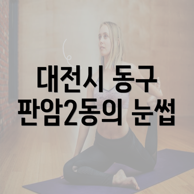 대전시 동구 판암2동의 눈썹