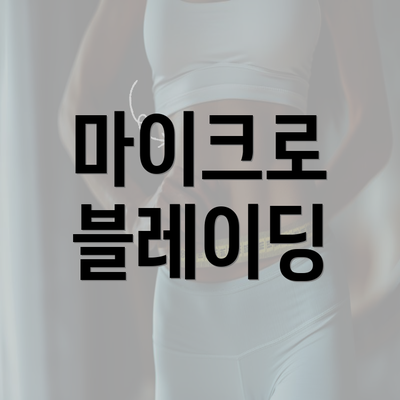 마이크로 블레이딩