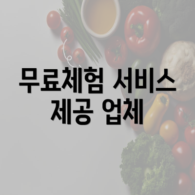 무료체험 서비스 제공 업체