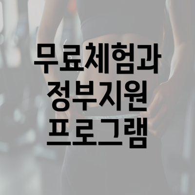 무료체험과 정부지원 프로그램