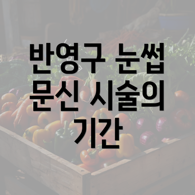 반영구 눈썹 문신 시술의 기간