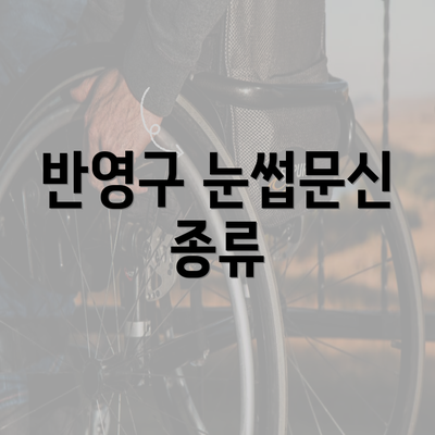 반영구 눈썹문신 종류