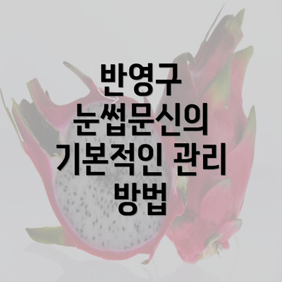 반영구 눈썹문신의 기본적인 관리 방법