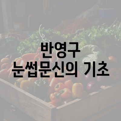 반영구 눈썹문신의 기초