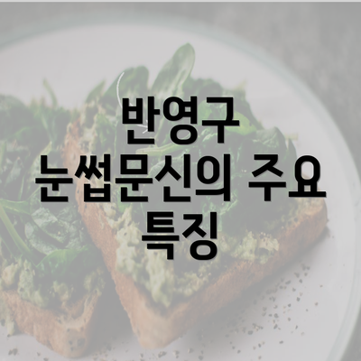 반영구 눈썹문신의 주요 특징