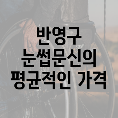 반영구 눈썹문신의 평균적인 가격