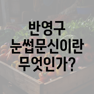 반영구 눈썹문신이란 무엇인가?