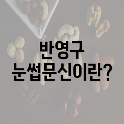 반영구 눈썹문신이란?