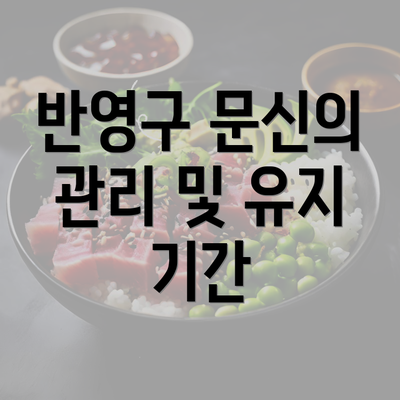 반영구 문신의 관리 및 유지 기간