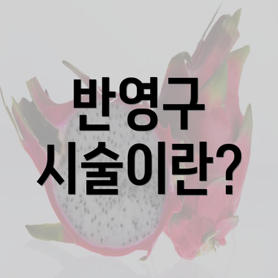 반영구 시술이란?