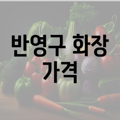 반영구 화장 가격