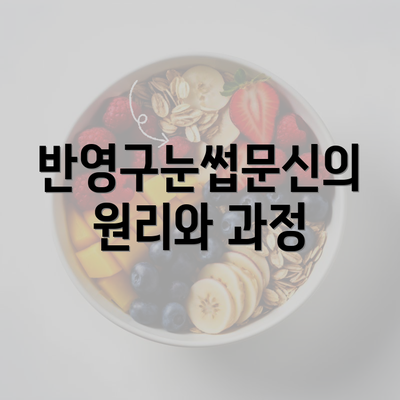 반영구눈썹문신의 원리와 과정