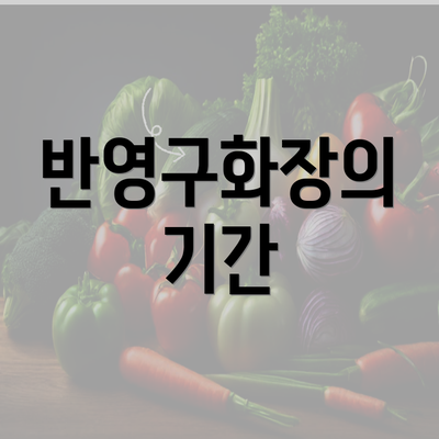 반영구화장의 기간