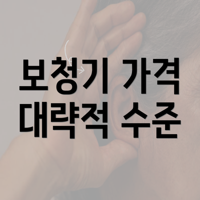 보청기 가격 대략적 수준