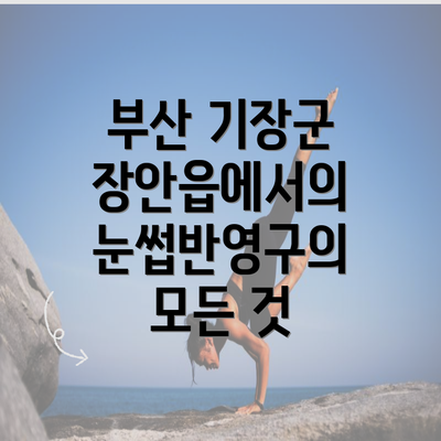 부산 기장군 장안읍에서의 눈썹반영구의 모든 것