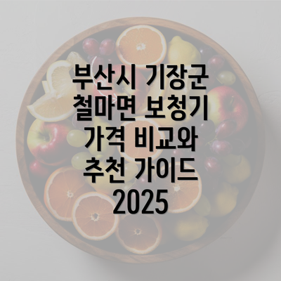 부산시 기장군 철마면 보청기 가격 비교와 추천 가이드 2025