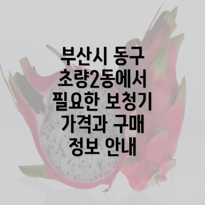 부산시 동구 초량2동에서 필요한 보청기 가격과 구매 정보 안내