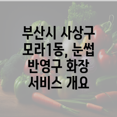 부산시 사상구 모라1동, 눈썹 반영구 화장 서비스 개요