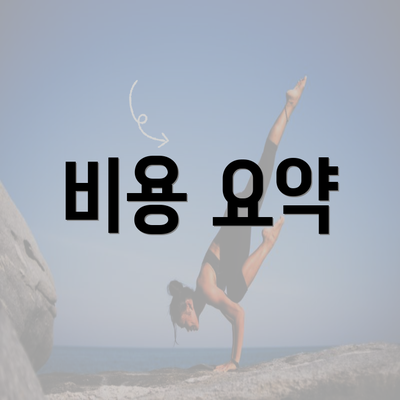 비용 요약