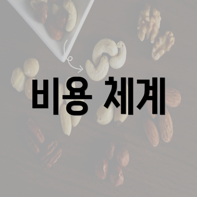 비용 체계