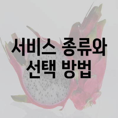 서비스 종류와 선택 방법