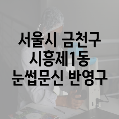 서울시 금천구 시흥제1동 눈썹문신 반영구