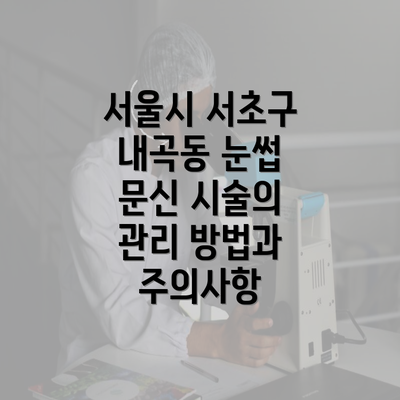 서울시 서초구 내곡동 눈썹 문신 시술의 관리 방법과 주의사항