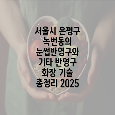 서울시 은평구 녹번동의 눈썹반영구와 기타 반영구 화장 기술 총정리 2025