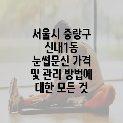 서울시 중랑구 신내1동 눈썹문신 가격 및 관리 방법에 대한 모든 것