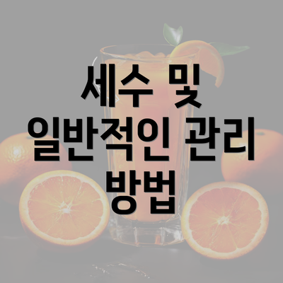 세수 및 일반적인 관리 방법