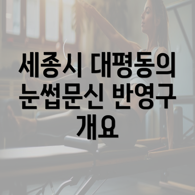 세종시 대평동의 눈썹문신 반영구 개요